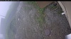 Web Cam Image - Sun, 06/07/2026 5:34am PDT