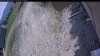 Web Cam Image - Sun, 05/24/2026 11:49am PDT