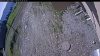 Web Cam Image - Mon, 06/01/2026 8:04am PDT
