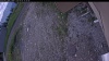 Web Cam Image - Thu, 06/04/2026 1:19pm PDT