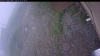 Web Cam Image - Thu, 07/02/2026 8:54am PDT