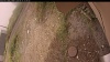 Web Cam Image - Mon, 09/15/2025 12:39pm PDT