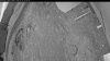 Web Cam Image - Sun, 05/10/2026 7:39pm PDT