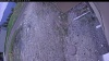 Web Cam Image - Tue, 05/12/2026 7:19pm PDT