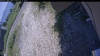 Web Cam Image - Mon, 07/06/2026 12:29pm PDT