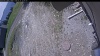 Web Cam Image - Thu, 05/21/2026 10:59am PDT