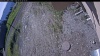 Web Cam Image - Mon, 06/01/2026 7:54am PDT