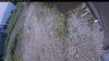 Web Cam Image - Sun, 07/05/2026 10:49am PDT