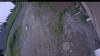 Web Cam Image - Mon, 06/29/2026 6:24am PDT