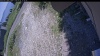 Web Cam Image - Mon, 07/06/2026 12:19pm PDT