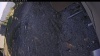 Web Cam Image - Tue, 05/05/2026 5:54pm PDT