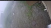 Web Cam Image - Sun, 06/07/2026 5:09am PDT