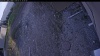 Web Cam Image - Mon, 05/11/2026 6:19pm PDT