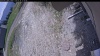 Web Cam Image - Sun, 05/24/2026 11:54am PDT