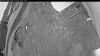 Web Cam Image - Tue, 05/26/2026 4:14am PDT