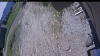 Web Cam Image - Mon, 06/01/2026 11:44am PDT