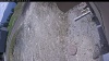 Web Cam Image - Sun, 05/10/2026 11:14am PDT