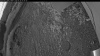 Web Cam Image - Wed, 06/24/2026 1:34am PDT