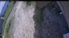 Web Cam Image - Tue, 07/07/2026 12:39pm PDT