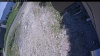 Web Cam Image - Sun, 06/14/2026 12:09pm PDT