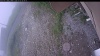 Web Cam Image - Thu, 07/02/2026 8:19am PDT
