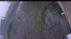 Web Cam Image - Fri, 07/03/2026 8:24am PDT