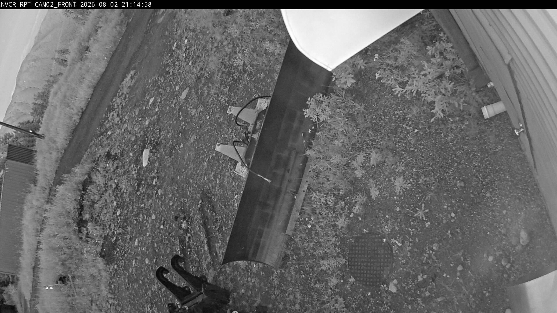 Web Cam History Image - 733