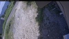 Web Cam Image - Tue, 07/07/2026 12:29pm PDT