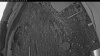 Web Cam Image - Thu, 05/21/2026 3:34am PDT