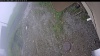 Web Cam Image - Sun, 06/07/2026 4:44am PDT