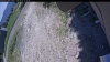 Web Cam Image - Sun, 06/14/2026 11:59am PDT