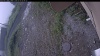 Web Cam Image - Fri, 07/03/2026 8:14am PDT
