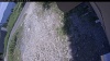Web Cam Image - Tue, 07/07/2026 12:24pm PDT