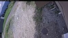 Web Cam Image - Thu, 06/04/2026 12:29pm PDT