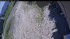 Web Cam Image - Sun, 06/14/2026 11:54am PDT