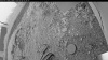 Web Cam Image - Wed, 07/09/2025 1:49am PDT