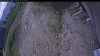 Web Cam Image - Wed, 06/10/2026 10:04am PDT