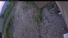 Web Cam Image - Fri, 06/19/2026 8:04pm PDT