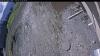 Web Cam Image - Mon, 05/11/2026 8:29am PDT