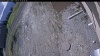 Web Cam Image - Mon, 05/11/2026 8:24am PDT