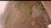 Web Cam Image - Mon, 09/15/2025 11:34am PDT