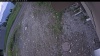 Web Cam Image - Thu, 06/11/2026 11:44am PDT