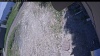 Web Cam Image - Tue, 06/02/2026 12:19pm PDT
