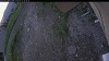 Web Cam Image - Fri, 06/12/2026 7:14pm PDT