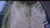 Web Cam Image - Mon, 07/06/2026 11:19am PDT
