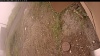 Web Cam Image - Mon, 09/15/2025 11:24am PDT