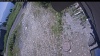 Web Cam Image - Mon, 07/06/2026 11:15am PDT