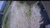 Web Cam Image - Tue, 07/07/2026 11:49am PDT