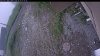 Web Cam Image - Tue, 06/30/2026 6:34am PDT