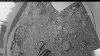 Web Cam Image - Wed, 07/09/2025 1:14am PDT